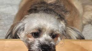 Fundraiser by Cathy Marley : Help Nancy