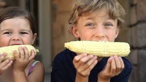 The New Home Company: The Cannery in Davis