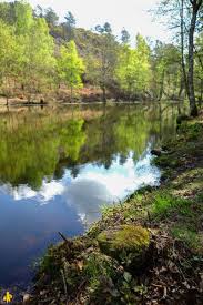 Week End A Broceliande En Famille Activites Et Visites Blog Voyages Et Enfants Paysages Magnifiques Blog Voyage Broceliande