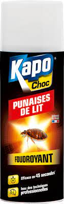 insecticide aerosol punaises de lit kapo 400 ml leroy merlin