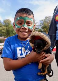 Beyond vaccinations, we also offer microchipping, diagnostic testing, and deworming. Csu Vet Students And Partners Host Health Clinic For Denver Pets Families