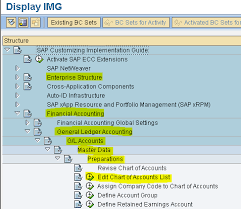 sap fico module learning creation of chart of accounts coa