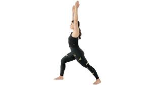 We did not find results for: Master Warrior 1 Pose Plus Four Adaptions