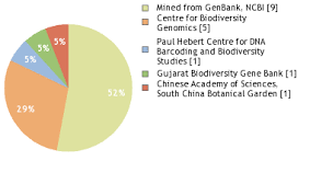 Image result for Pycreus mundtii
