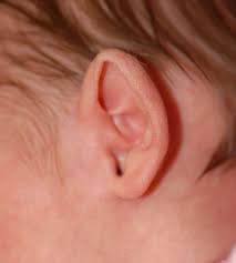 Earwell Washington Dc Ear Molding Mclean Va