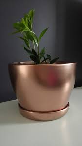Relooking Pot De Fleur Aerosol Relook Tout Cuivre Leroy Merlin Pot De Fleurs Pots Fleurs