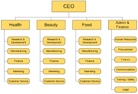 77 Clean Mcdonald Organisation Chart