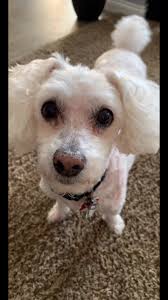 amy.ruggles (@amy.ruggles)