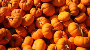 Basta con tan solo darle riendas sueltas a tu. Estos Son Los Tipos De Calabaza Que Existen En Mexico Food Wine En Espanol