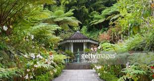 Creole Architecture Garden With A Fountain Gazebo Maison Folio Gazebo Tree Fern Garden Fountain