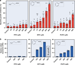 We did not find results for: Mfs Transporter From Botrytis Cinerea Provides Tolerance To Glucosinolate Breakdown Products And Is Required For Pathogenicity Nature Communications