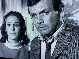 The Fugitive: The TV Series (1963-1967)