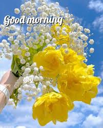 See more ideas about good morning, good morning quotes, good morning images. Good Morning Images Home Facebook