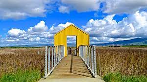 Is there fee to launch at alviso marina? Alviso Marina County Park Review Parks And Recreation County Of Santa Clara