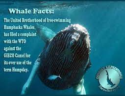 Maritime Facts Marine Biology Learning Center