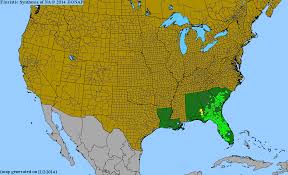 Image result for Dyschoriste transvaalensis