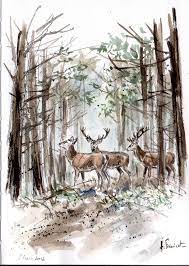 epingle par claire devoet sur animaux dessin chasse aquarelle cerf art le theme du coloriage flocon de neige