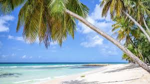 Caribbean Zoom Virtual Backgrounds Make Boring Meetings Better In 2020 Beach Background Background Beach Images