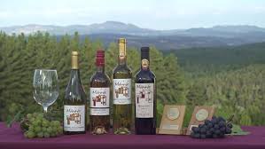 Orden por defecto ordenar por popularidad ordenar por calificación media ordenar por los últimos ordenar por precio: Das Sind Chiles Schonste Weingebiete Und Weinregionen Trekkingchile De