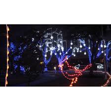 Beautiful Scenery Fantasy Forest Festival Lights Moody Gardens