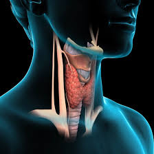 Or, the cause of a symptom may be a different medical condition that is not cancer. Cancer Visual Guide To Thyroid Cancer