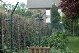 Im besten fall sollte der garten der katze so gut gefallen, dass sie ganz von gefährlichen abenteuern abgelenkt wird. Garten Katzensicher Einzaunen Katzenforum Mietzmietz Das Forum Uber Katzen
