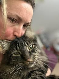 UPDATE... Fairvoew Rd and Franklin Rd area... Cheeto has beenn spotted!! Toni  Steele and her husband are amazing people. Cheeto has been at their house  eating. I have seen hjm several times