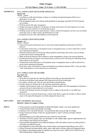 To be a successful candidate for web developer jobs, resume expert kim isaacs says it helps to have a. Java Application Developer Resume Samples Velvet Jobs