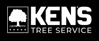 Landscape design and consultation by appointment. Tree Removal And Trimming Tarpon Springs Fl Ken S Tree Service