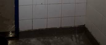 Hoe te verwijderen zwarte schimmel van badkamer tegel. Professionele Hulp Bij Het Verwijderen Van Schimmel En Schimmelvorming
