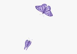 Our aim is to build a largest free png image platform in the world, serve for all the professional designer and people who have design skills. Butterfly 2 Butterfly Transparent Background Gif Hd Png Download Transparent Png Image Pngitem