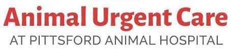 New puppy/kitten in need of vaccines. Animal Urgent Care Of Pittsford Home Facebook