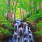 Green Forest Falls event image