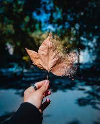 In Love With Fall Season Astheticwallpaperiphonequotes Digital Art Photography Best Nature Wallpapers Tumblr Wallpaper