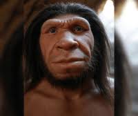 Percha, autor en Remolacha