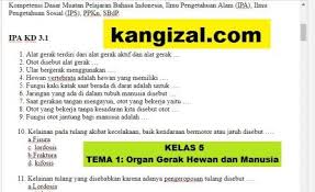 Soal ulangan tema 1 kelas 5 kurikulum 2013 revisi 2017 (organ gerak hewan dan manusia) dan kunci jawaban/ pembahasan soal. Soal Uas Pat Ukk Kelas 5 Tema 1 Kurikulum 2013 Revisi 2019 2020 Kang Izal Blog