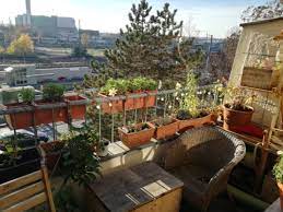 Die wohnung liegt auf dem gartengeschoß (0. Zentrales Wg Zimmer Mit Schonem Sonnenuntergang Wgs In Bonn Nordstadt
