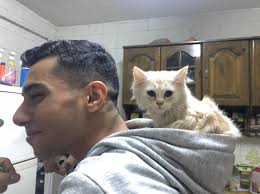 Ali Helmy (@AliHelmy0)