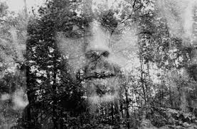 SOCIAL DISTANCING STORIES THAT BRING US CLOSER TOGETHER