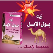 خلطه شفاءك لتسمين On Twitter زيت بول الجمل لتطويل الشعر ويكثفه ويمنع تساقط الشعر وينبت الشعر لصلع شعر تطويل تنعيم اعشاب