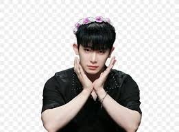 Time to find the ~hidden kard~ in all of us. Wonho Monsta X K Pop Weekly Idol Png 500x609px Wonho Bangs Black Hair Brown Hair Deviantart