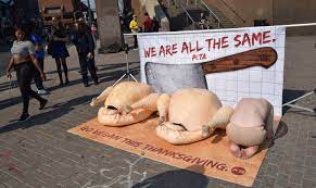 Nude Protester Poses Next to 'Turkey Carcasses' | PETA