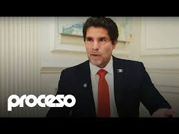 Image result for Oldenlandia verrucitesta