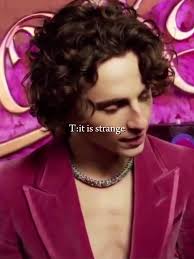 Timothee Chalamet Pov Stories