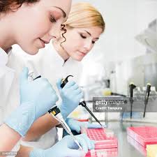 102 Scientist Over Shoulder Stock Photos, High-Res Pictures, and Images