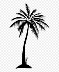 All palm tree clip art are png format and transparent background. Scpalmtree Sticker Palm Tree Transparent Background Clipart 391859 Pikpng