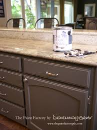 Painting Kitchen Cabinets With Wise Owl One Hour Enamel Paint What You Need To Know The Paint Factory Painting Kitchen Cabinets Owl Kitchen Kitchen Restoration