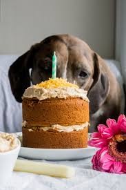 Gateau Pour Chien Meilleures Recettes A Essayer Gateaux Pour Chiens Gateau Chien Gateau D Anniversaire Pour Chien