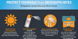 How to get rid of mosquitoes in your home. Controlling Mosquitoes At Home Zika Virus Cdc