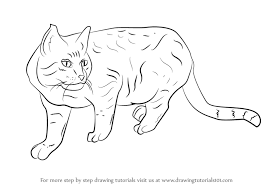 We are recommending the best product for b. How To Draw A Cat Face And Silhouette With Easy Step By Step Tutorials